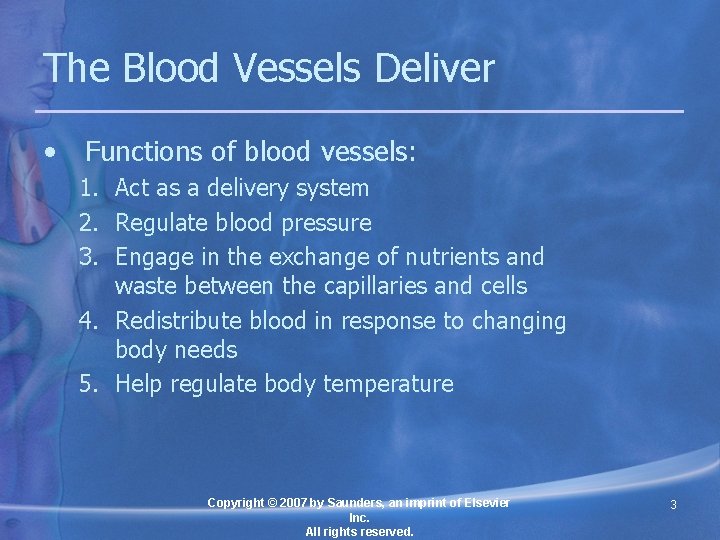 The Blood Vessels Deliver • Functions of blood vessels: 1. Act as a delivery
