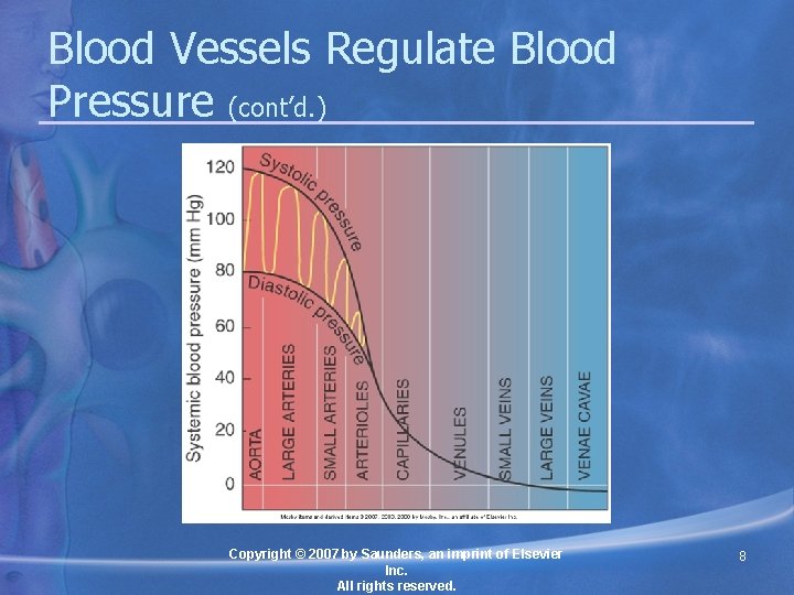 Chapter 19 Functions of the Blood Vessels Lesson