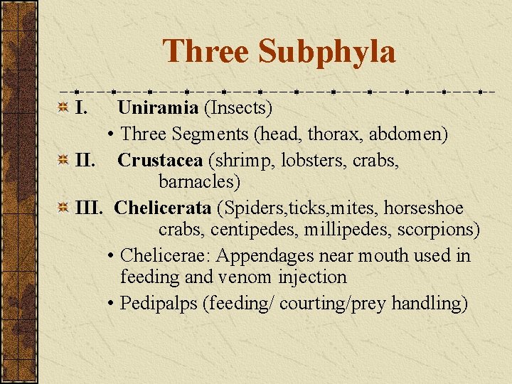 Three Subphyla I. Uniramia (Insects) • Three Segments (head, thorax, abdomen) II. Crustacea (shrimp,