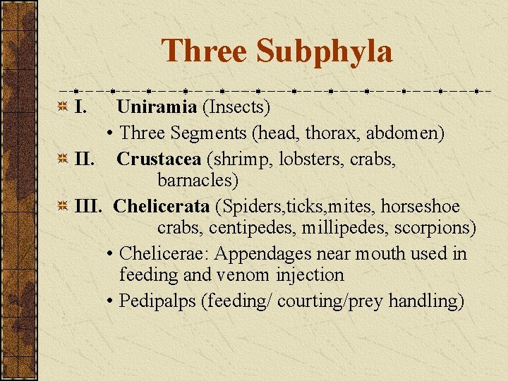 Three Subphyla I. Uniramia (Insects) • Three Segments (head, thorax, abdomen) II. Crustacea (shrimp,