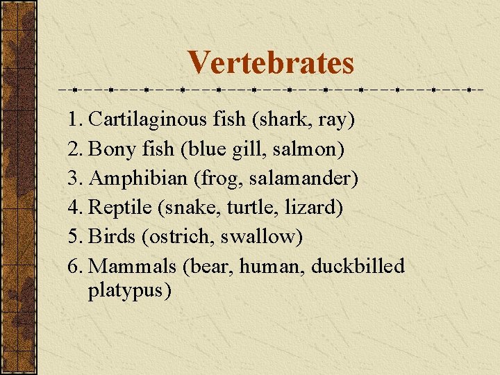 Vertebrates 1. Cartilaginous fish (shark, ray) 2. Bony fish (blue gill, salmon) 3. Amphibian