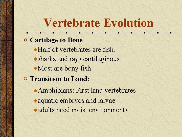 Vertebrate Evolution Cartilage to Bone Half of vertebrates are fish. sharks and rays cartilaginous