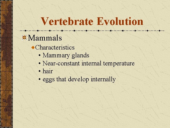 Vertebrate Evolution Mammals Characteristics • Mammary glands • Near-constant internal temperature • hair •