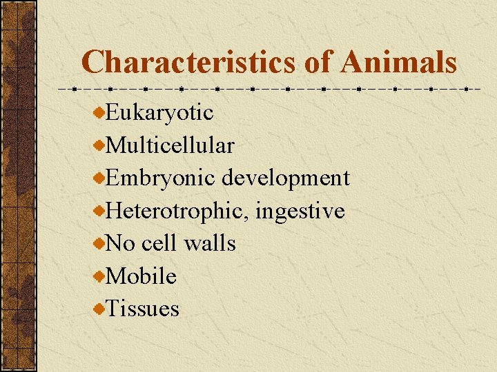 Characteristics of Animals Eukaryotic Multicellular Embryonic development Heterotrophic, ingestive No cell walls Mobile Tissues