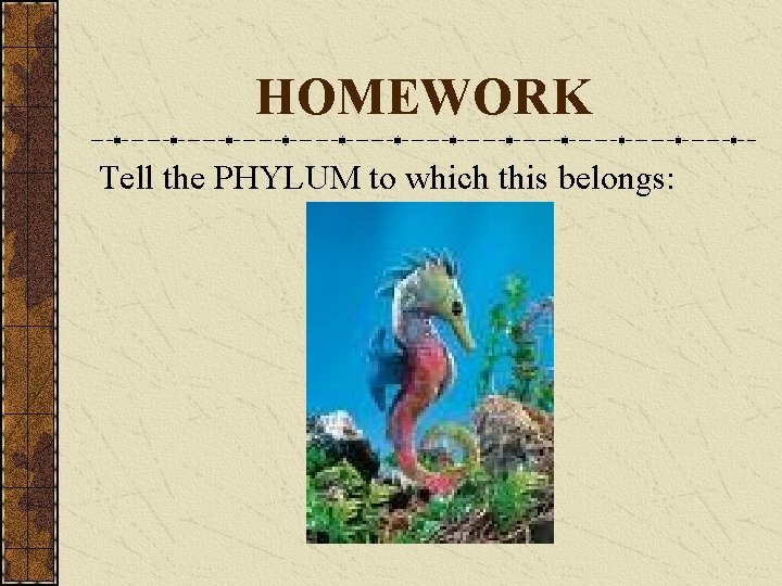 HOMEWORK Tell the PHYLUM to which this belongs: 