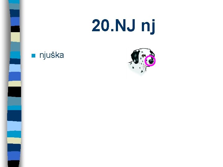 20. NJ nj n njuška 