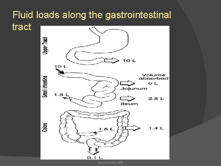 Fluid loads along the gastrointestinal tract Dierrhea 341 -1435 