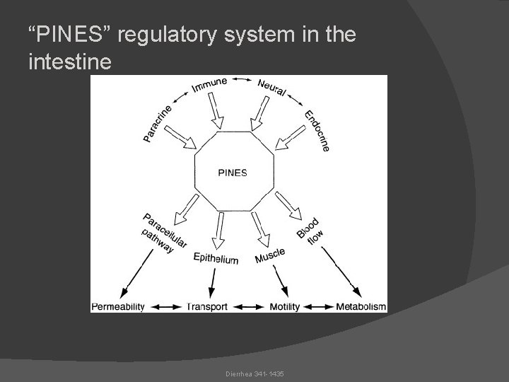 “PINES” regulatory system in the intestine Dierrhea 341 -1435 