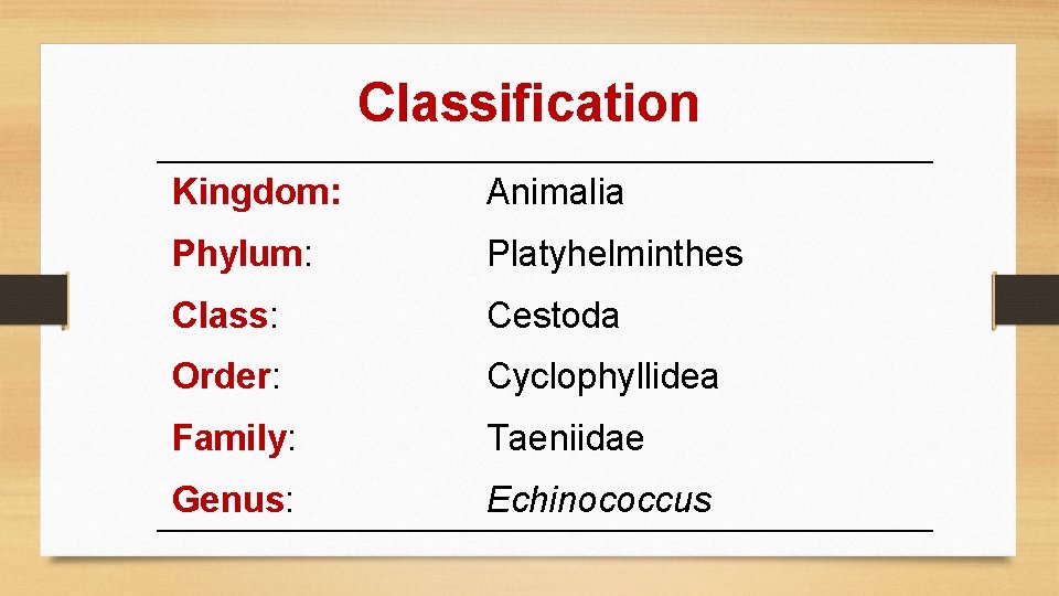 Classification Kingdom: Animalia Phylum: Platyhelminthes Class: Cestoda Order: Cyclophyllidea Family: Taeniidae Genus: Echinococcus 
