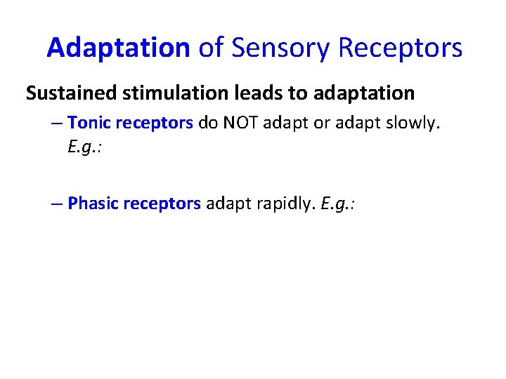 Adaptation of Sensory Receptors Sustained stimulation leads to adaptation – Tonic receptors do NOT