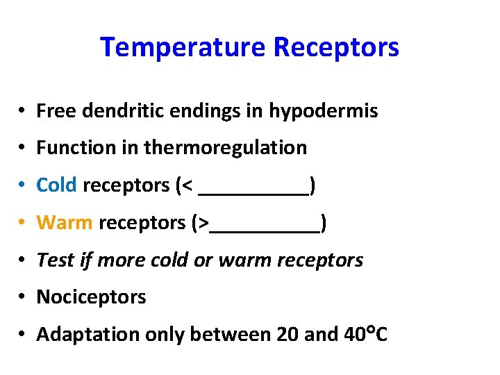 Temperature Receptors • Free dendritic endings in hypodermis • Function in thermoregulation • Cold