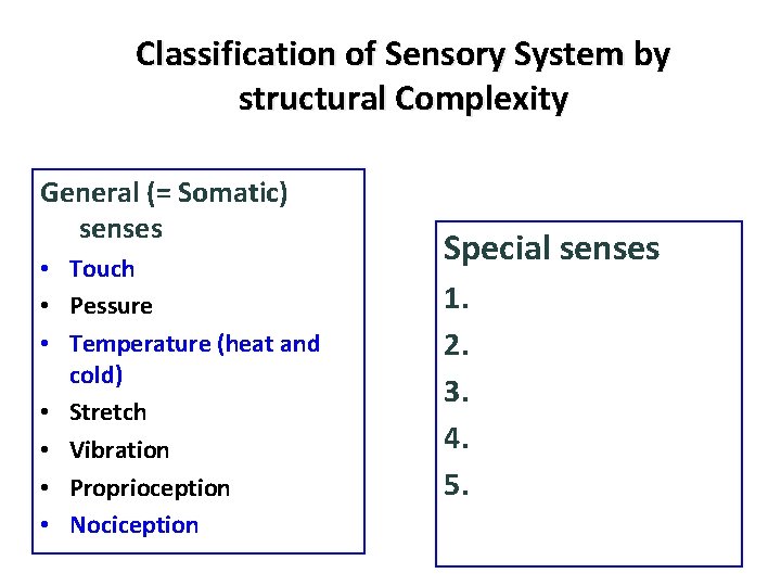 Classification of Sensory System by structural Complexity General (= Somatic) senses • Touch •