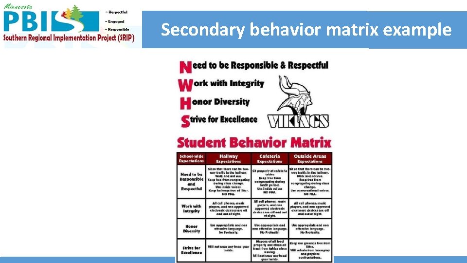 Secondary behavior matrix example 