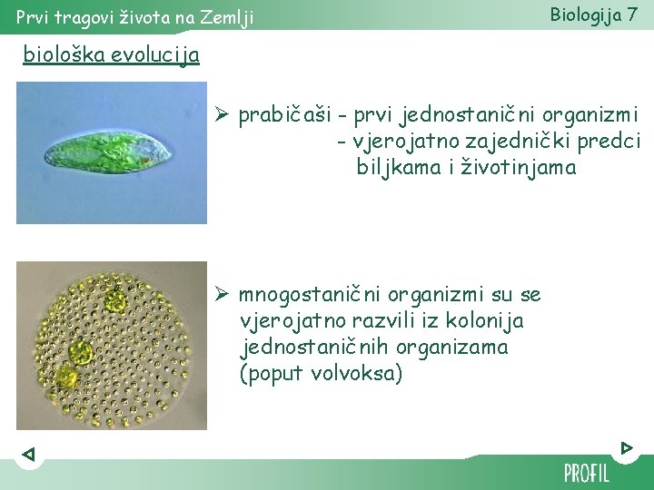 Prvi tragovi života na Zemlji Biologija 7 biološka evolucija Ø prabičaši - prvi jednostanični