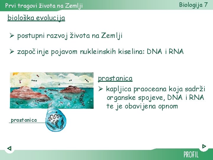 Biologija 7 Prvi tragovi života na Zemlji biološka evolucija Ø postupni razvoj života na