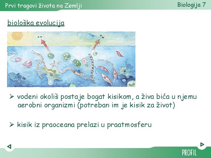 Prvi tragovi života na Zemlji Biologija 7 biološka evolucija Ø vodeni okoliš postaje bogat