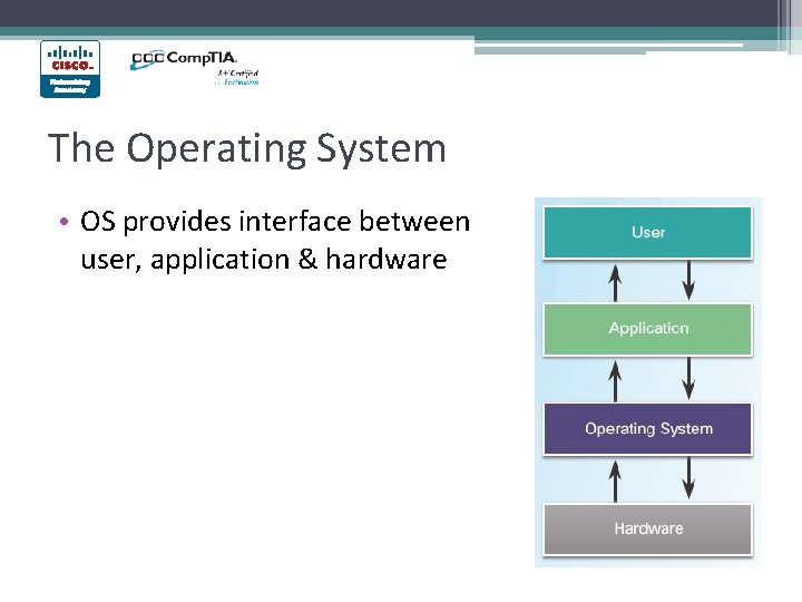 The Operating System • OS provides interface between user, application & hardware 