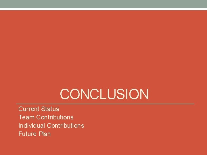 CONCLUSION Current Status Team Contributions Individual Contributions Future Plan 