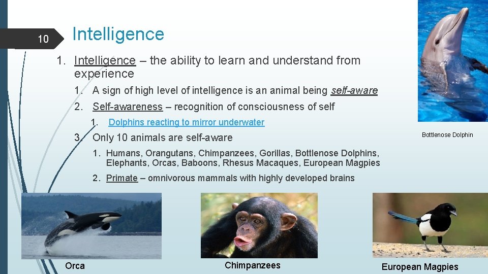 10 Intelligence 1. Intelligence – the ability to learn and understand from experience 1.