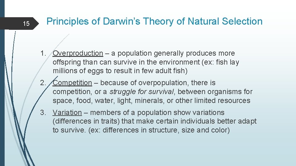 15 Principles of Darwin’s Theory of Natural Selection 1. Overproduction – a population generally