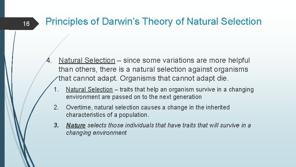 16 Principles of Darwin’s Theory of Natural Selection 4. Natural Selection – since some