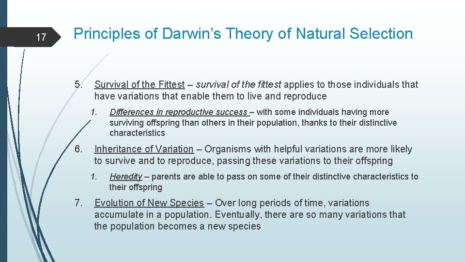 17 Principles of Darwin’s Theory of Natural Selection 5. Survival of the Fittest –