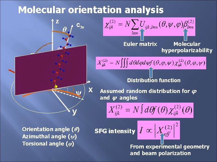 Molecular orientation analysis z θ C 3 v Euler matrix P S α φ