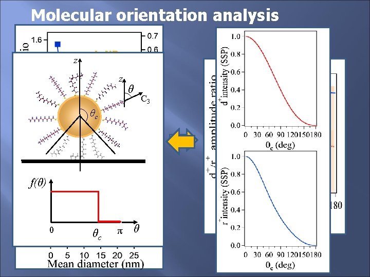 Molecular orientation analysis z Au. NPs z z z θ θ C 3 A.