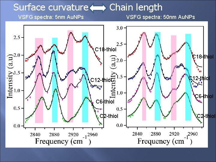 Surface curvature Chain length VSFG spectra: 5 nm Au. NPs VSFG spectra: 50 nm