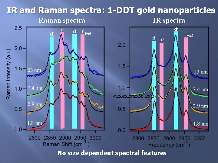 IR and Raman spectra: 1 -DDT gold nanoparticles Raman spectra d+ r+ d- r-(op)