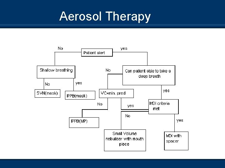 Aerosol Therapy 