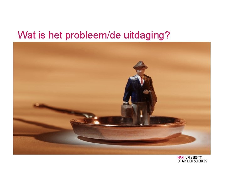 Wat is het probleem/de uitdaging? 