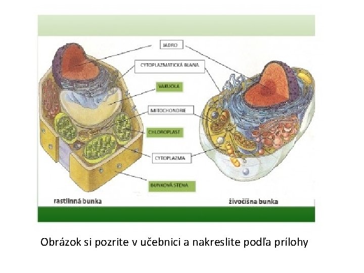 Obrázok si pozrite v učebnici a nakreslite podľa prílohy 