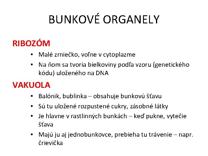 BUNKOVÉ ORGANELY RIBOZÓM • Malé zrniečko, voľne v cytoplazme • Na ňom sa tvoria