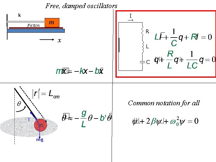 Free, damped oscillators k friction m x q Common notation for all T m