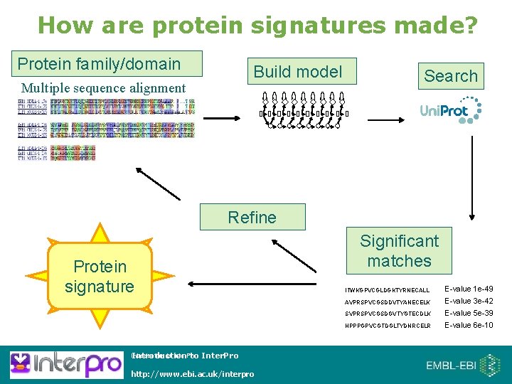 How are protein signatures made? Protein family/domain Build model Multiple sequence alignment Search Refine