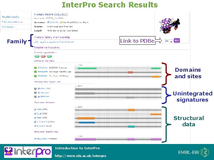 Inter. Pro Search Results Family Link to PDBe Domains and sites Unintegrated signatures Structural