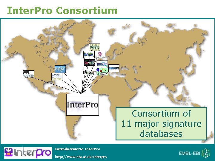 Inter. Pro Consortium of 11 major signature databases Introduction to Inter. Pro http: //www.