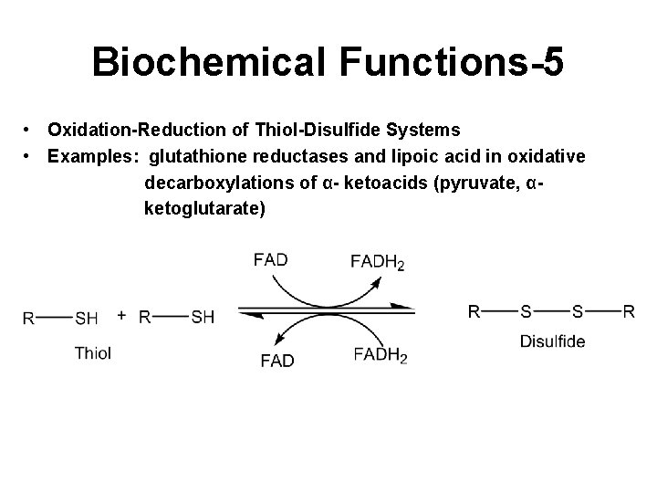 Biochemical Functions-5 • Oxidation-Reduction of Thiol-Disulfide Systems • Examples: glutathione reductases and lipoic acid