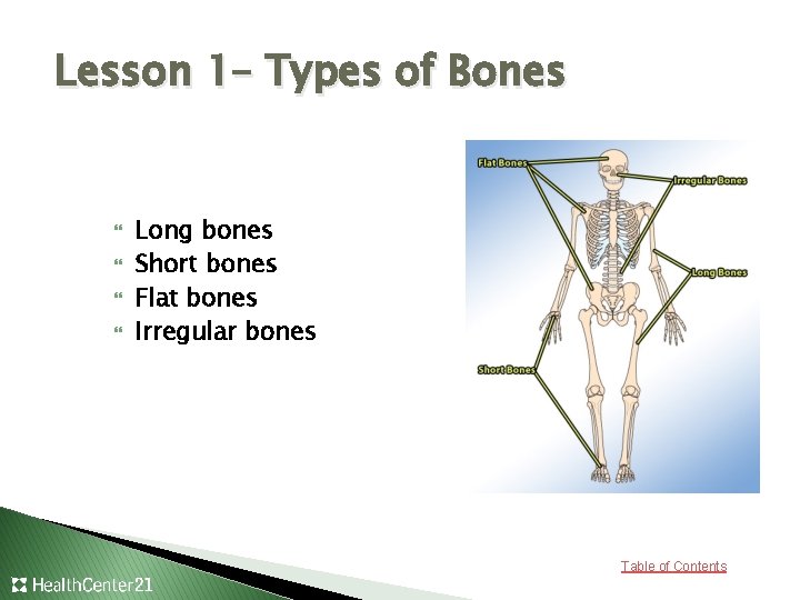 Lesson 1– Types of Bones Long bones Short bones Flat bones Irregular bones Table
