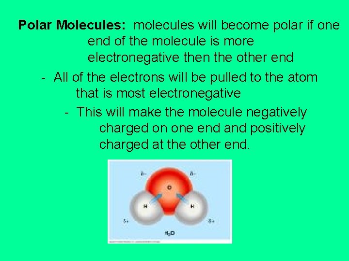 Polar Molecules: molecules will become polar if one end of the molecule is more