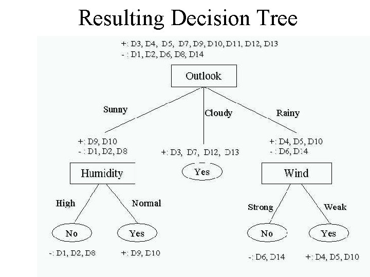 Resulting Decision Tree 