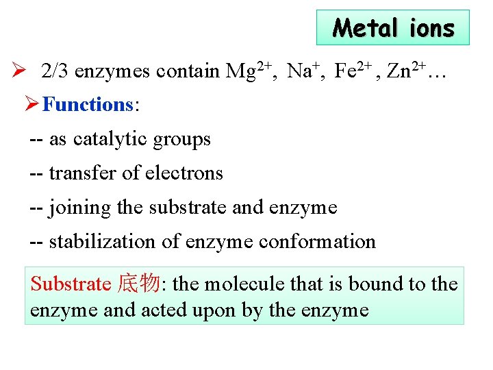 Metal ions Ø 2/3 enzymes contain Mg 2+, Na+, Fe 2+ , Zn 2+…