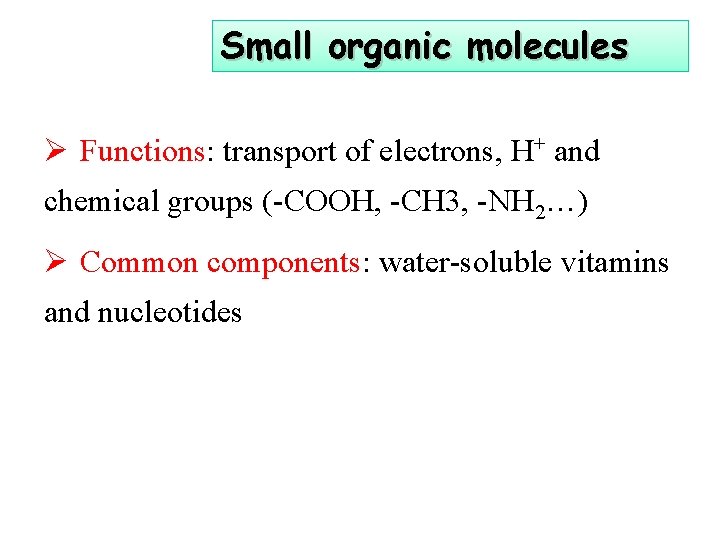 Small organic molecules Ø Functions: transport of electrons, H+ and chemical groups (-COOH, -CH