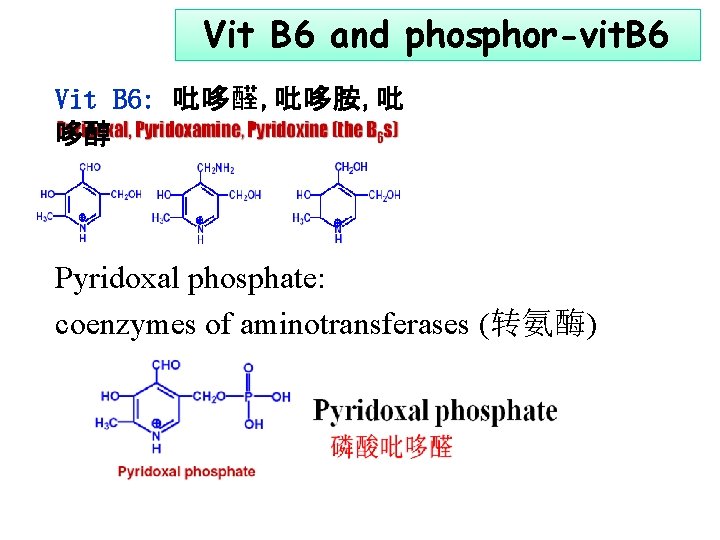 Vit B 6 and phosphor-vit. B 6 Vit B 6: 吡哆醛, 吡哆胺, 吡 哆醇