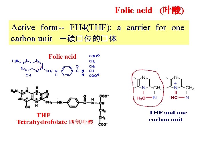 Folic acid (叶酸) Active form-- FH 4(THF): a carrier for one carbon unit 一碳�