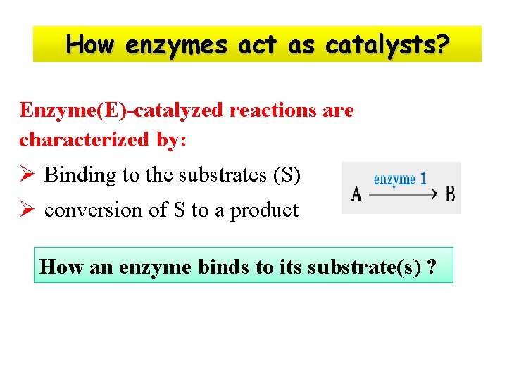 How enzymes act as catalysts? Enzyme(E)-catalyzed reactions are characterized by: Ø Binding to the