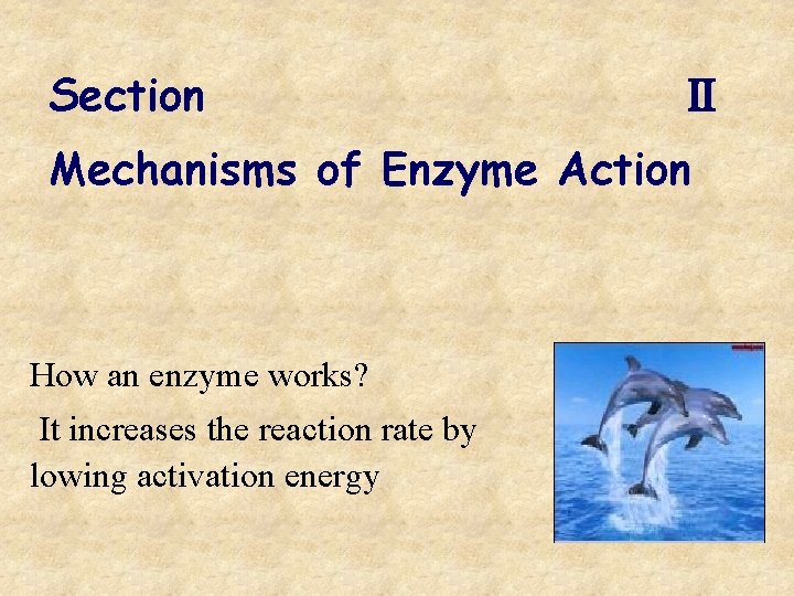 Section Ⅱ Mechanisms of Enzyme Action How an enzyme works? It increases the reaction
