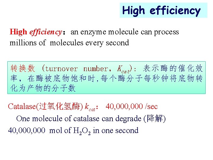 High efficiency：an enzyme molecule can process millions of molecules every second 转换数 (turnover number，