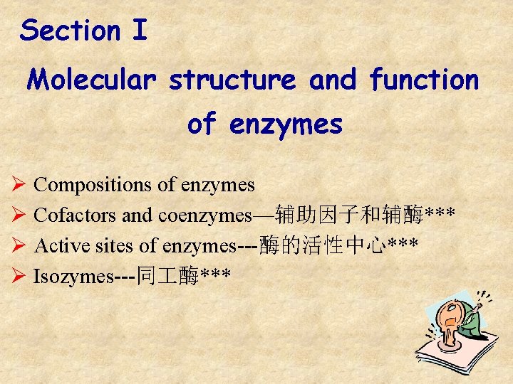 Section I Molecular structure and function of enzymes Ø Compositions of enzymes Ø Cofactors